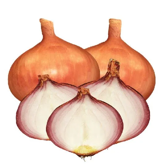 গ্রীন ক্রস