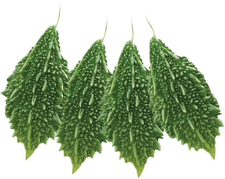 মিনিস্টার