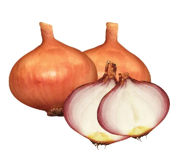 সৌদি কিং